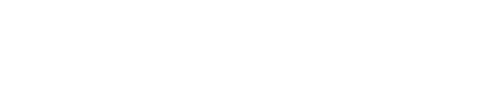 Wellzom Logo